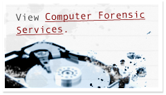 View Computer Forensic Services
